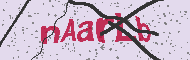 Captcha認証コード